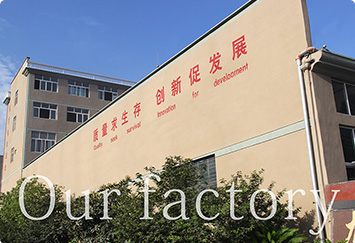 Our Factory